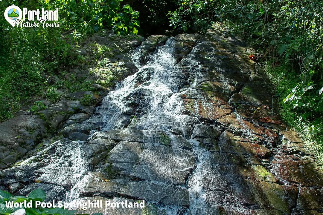 Whirlpool River Tour